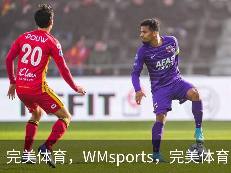 完美体育，WMsports，完美体育官方，完美体育平台，完美体育下载概况